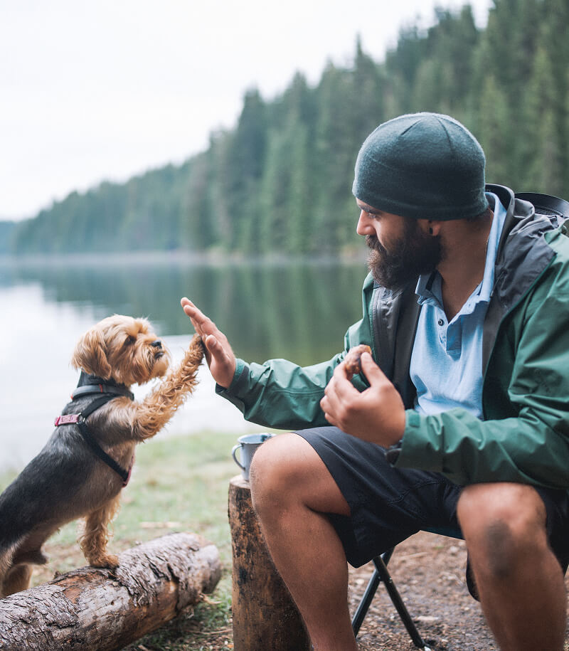 Man and dog camping by lake.