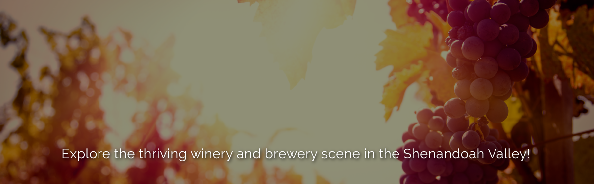 Explore the thriving winery and brewery scene in the Shenandoah Valley