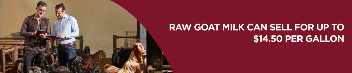 Raw goat milk can sell for up to $14.50 per gallon