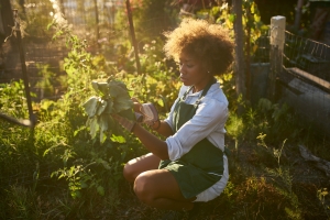 Vegetable farming