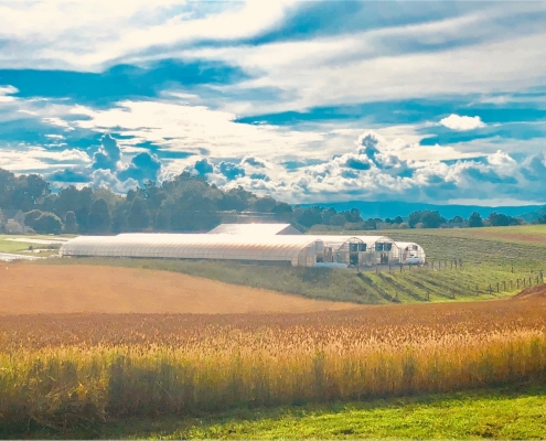 Overlook Farm