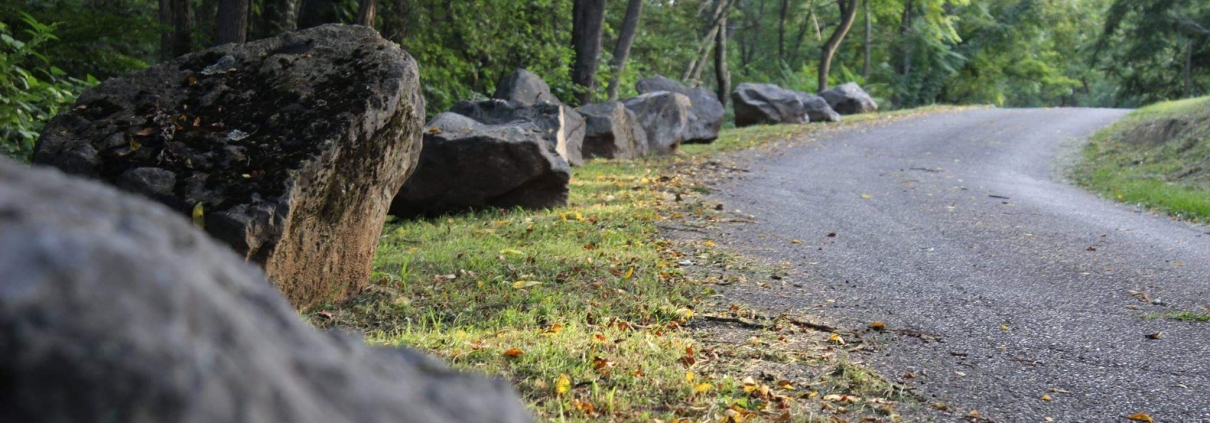 Mountain road with trees and boulders