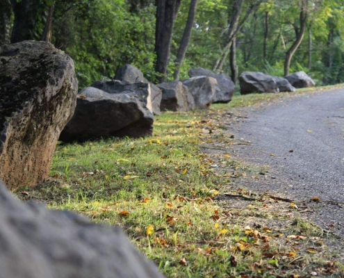 Mountain road with trees and boulders