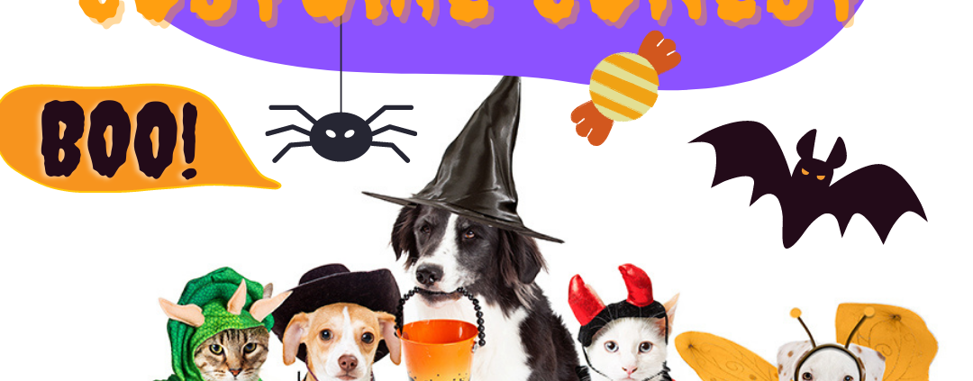 Pet Costume Contest