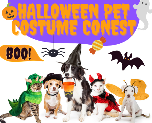 Pet Costume Contest