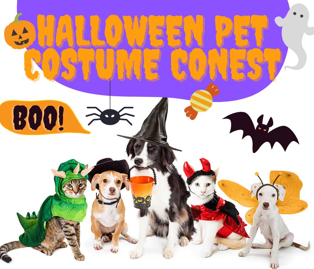 pet-costume-contest-f-m-bank