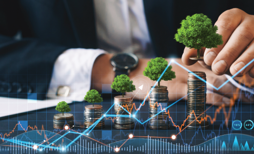 Photo of miniature trees set on stacks of coins with line graph overlay