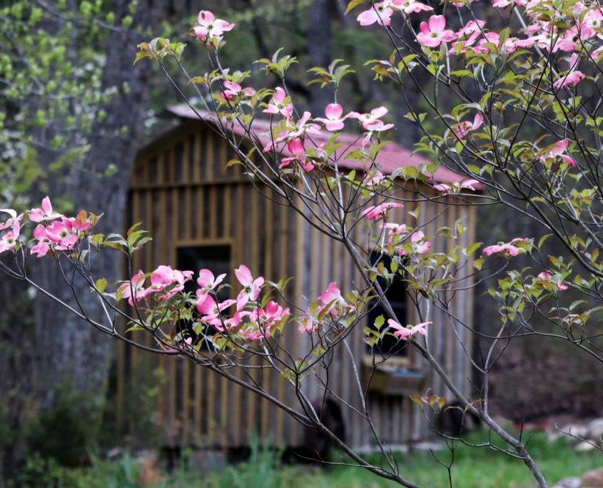 Shenandoah Valley Calendar Contest 2023