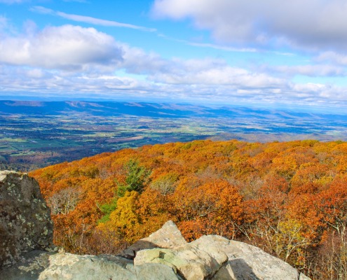 Shenandoah Valley Calendar Contest 2023