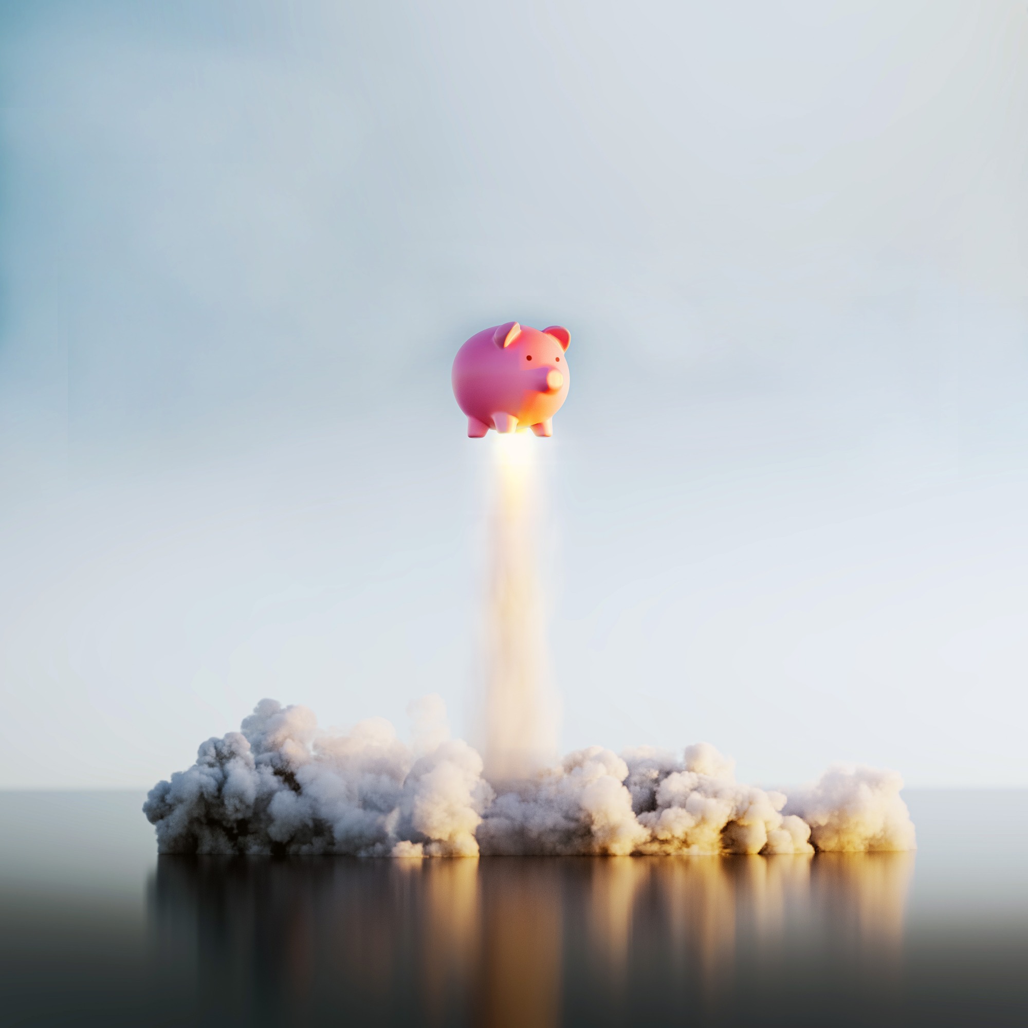 CD special soaring pig