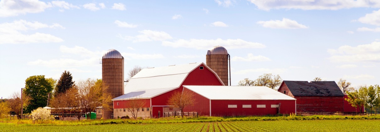 Red barn on a farm in front of planted field