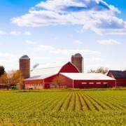 Red barn on a farm in front of planted field