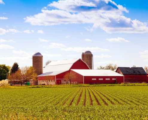 Red barn on a farm in front of planted field